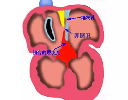 微信圖片_20190121164737.jpg