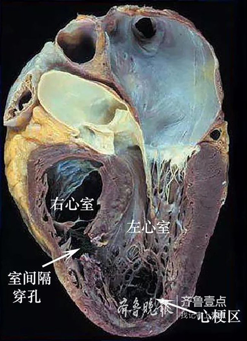 微信圖片_20190202091124.jpg