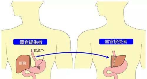 微信圖片_20191017083417.jpg