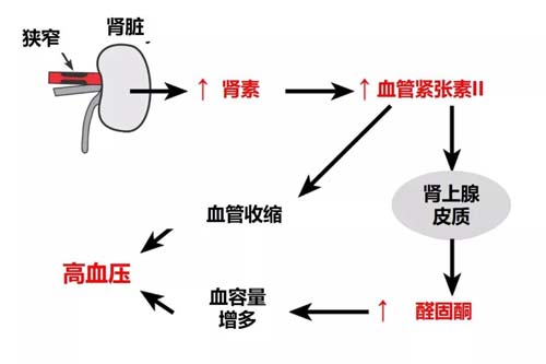 微信圖片_20191025085428.jpg