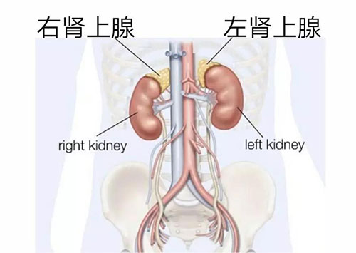 微信圖片_20191025085706.jpg