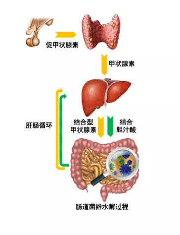 微信圖片_20191106094018.jpg