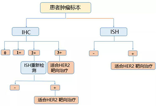 微信圖片_20191122093111.jpg