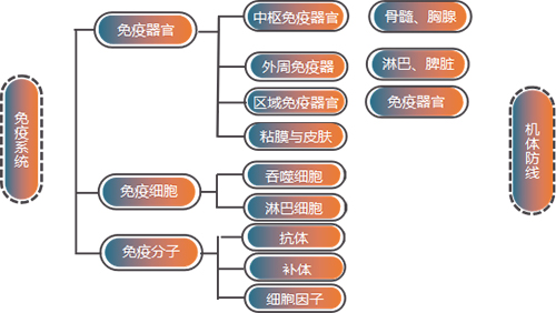 圖片2.jpg