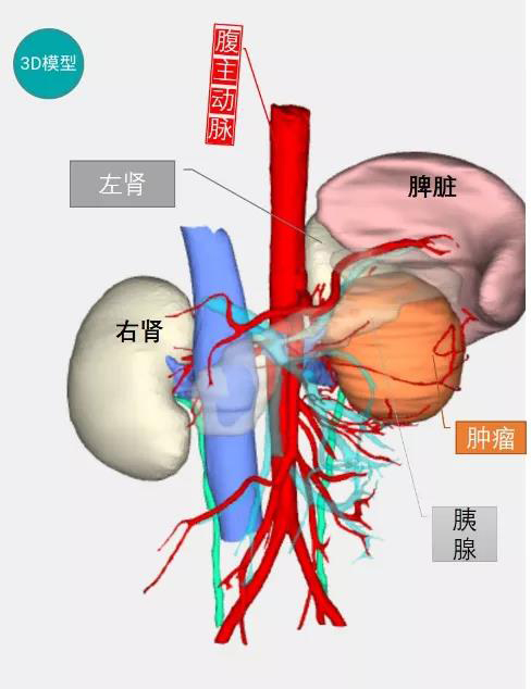 微信圖片_20200821085923.jpg