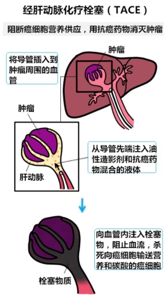 圖片86.jpg